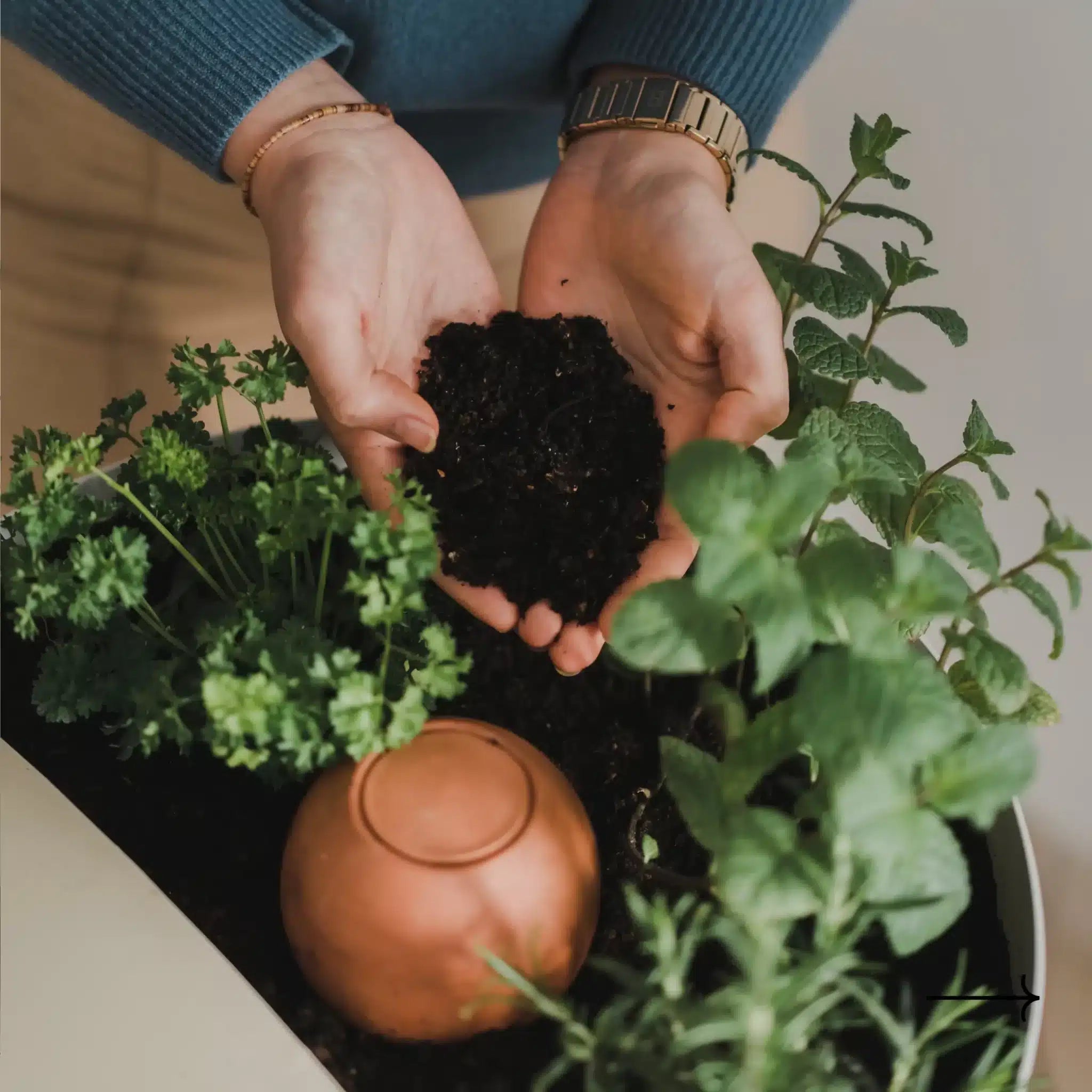 Le lombricompost : 6 façons faciles de l'utiliser sans jardin