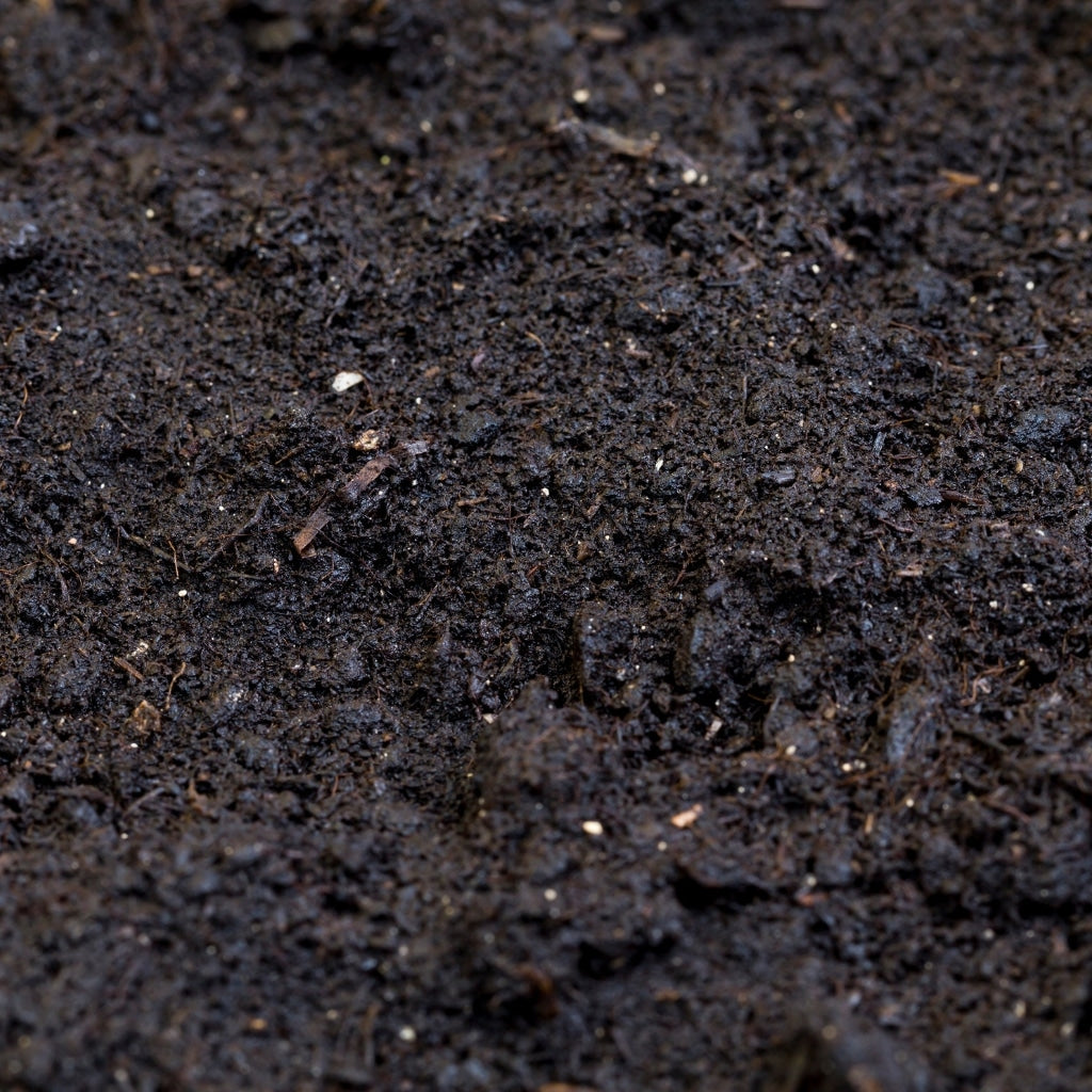 Comment savoir si mon compost est trop humide