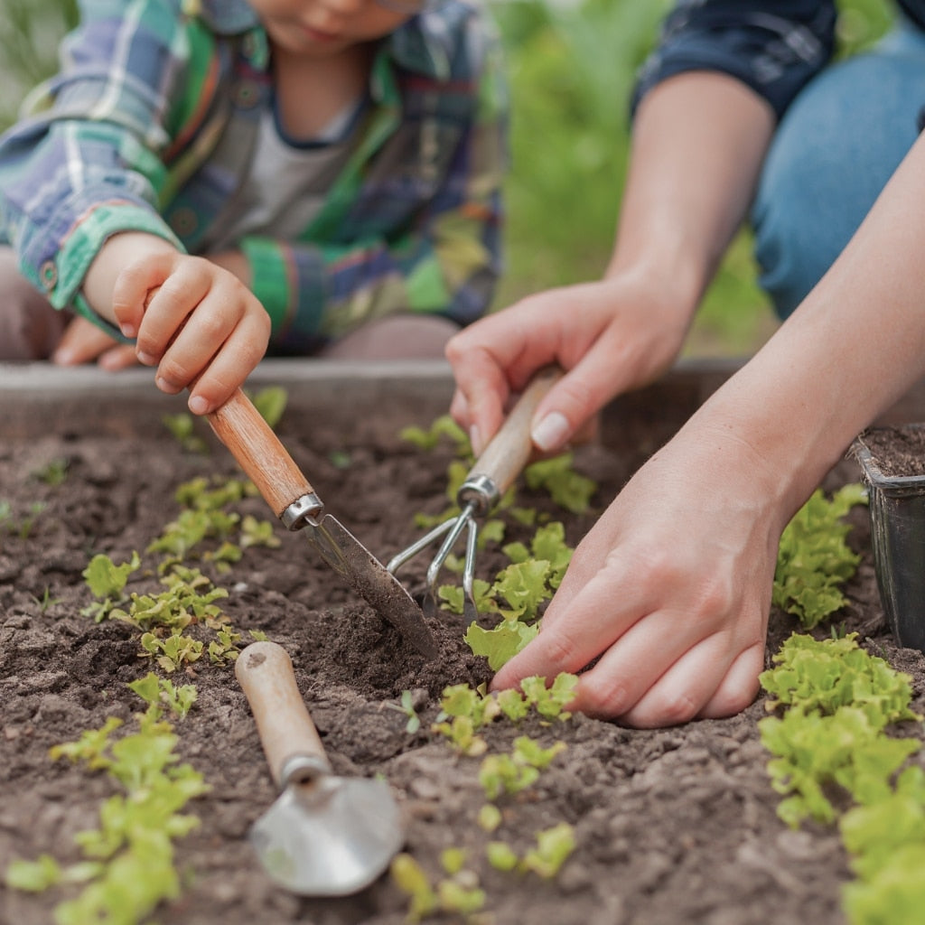Découvrez les jardins partagés : Cultivez la nature et le lien social !