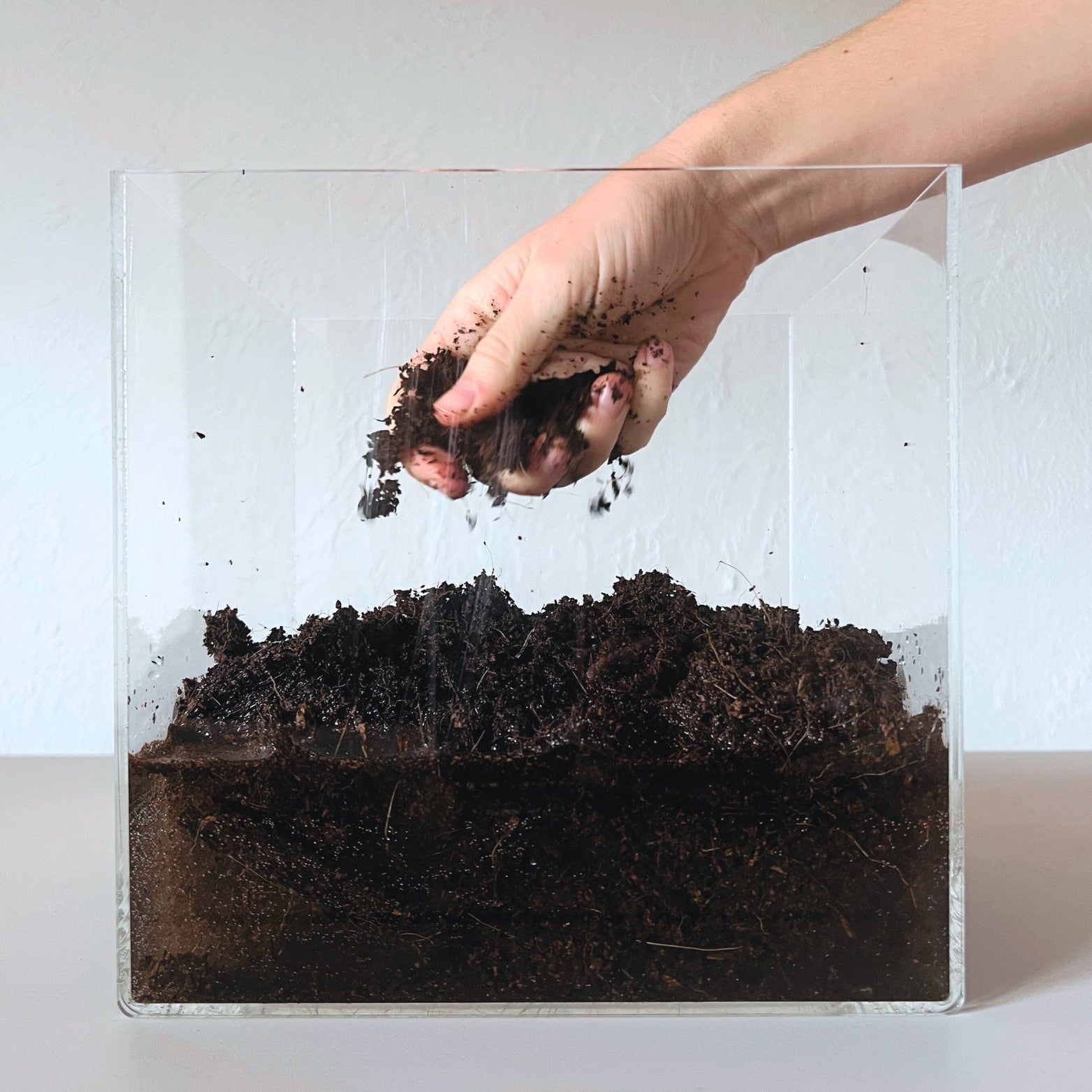 Comment utiliser le Terreau compressé ?