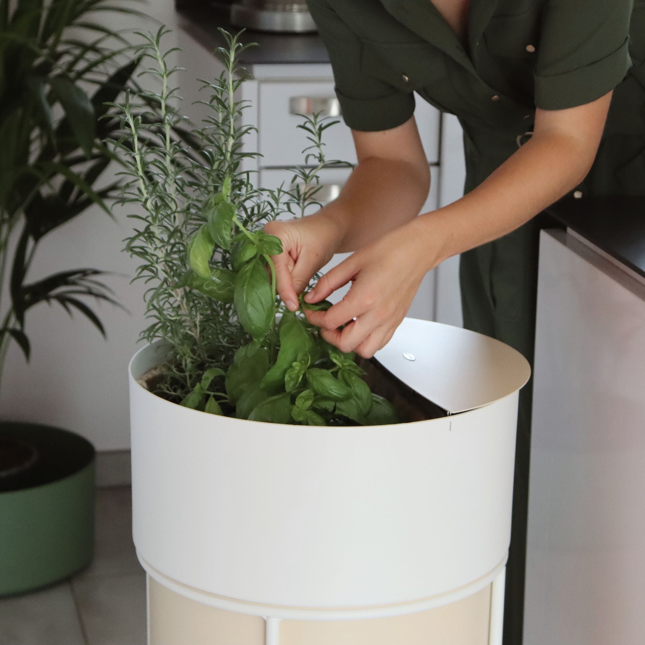 Composteur Néma - Pack de démarrage