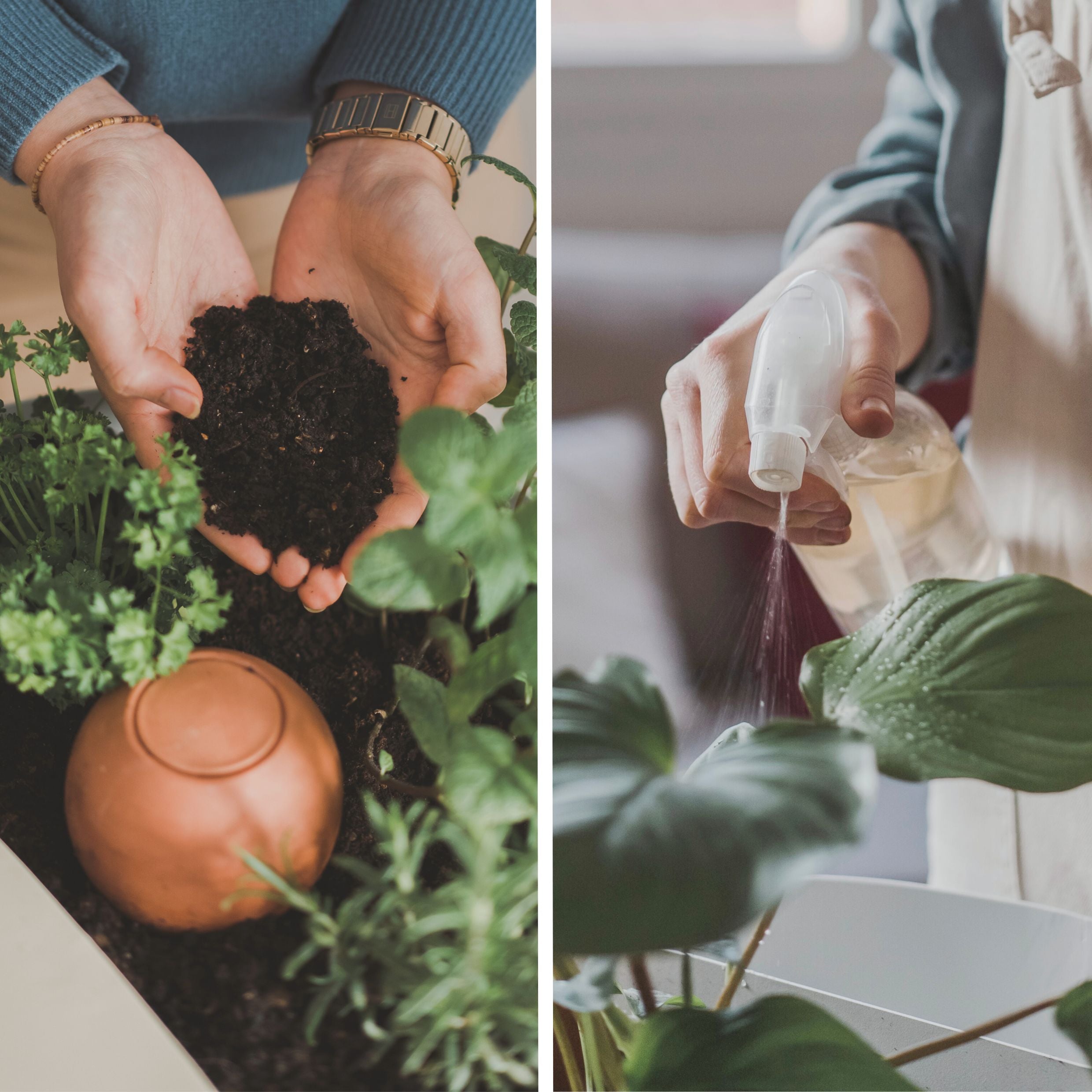 Composteur Néma - Pack de démarrage