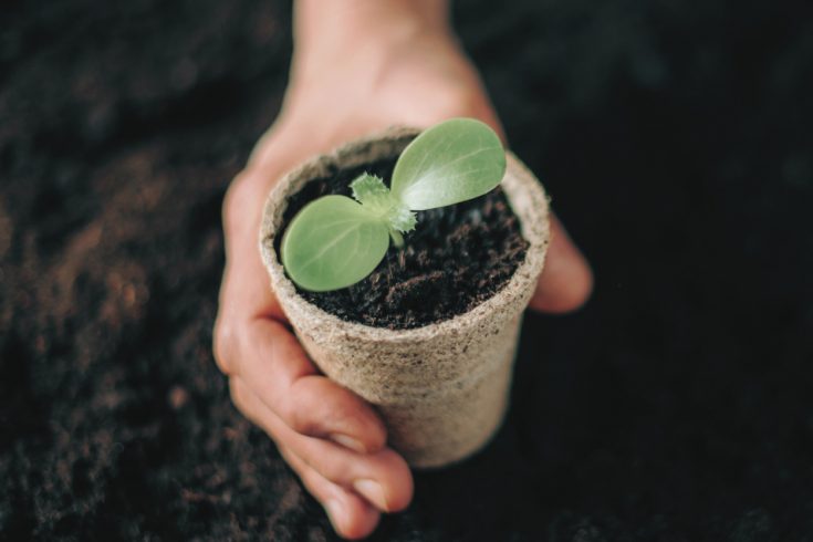 Compost cadeau parfait