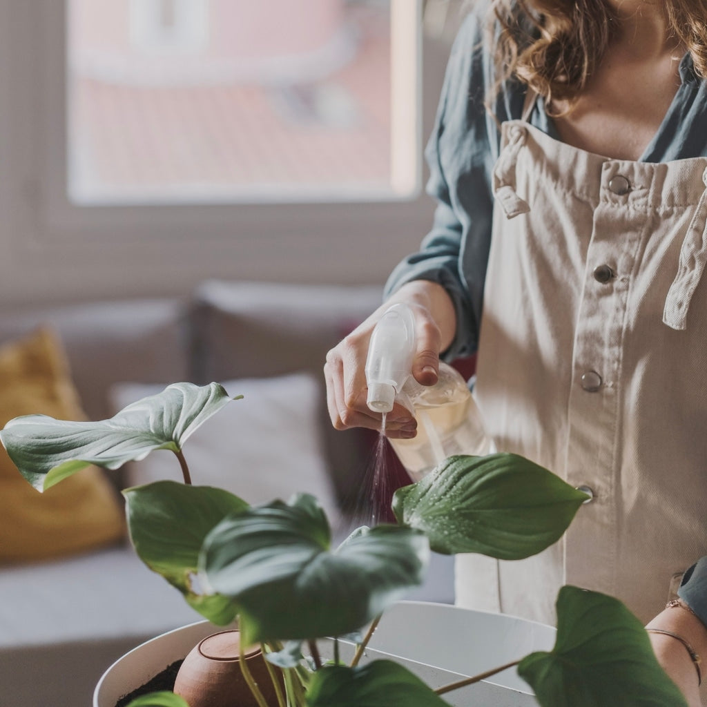 Comment récolter et utiliser l’engrais liquide ?