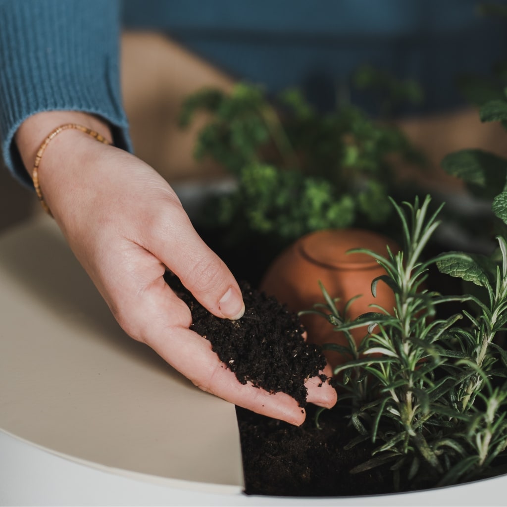 Comment obtenir une transformation rapide de mes déchets ?