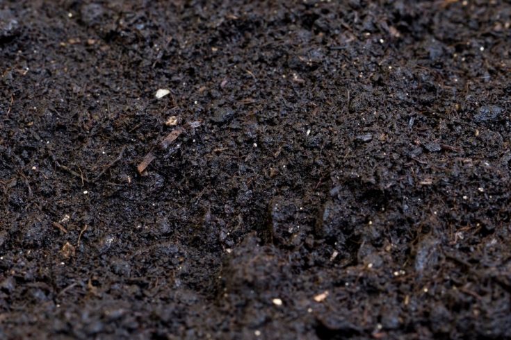 Terreau humide Blog et Section