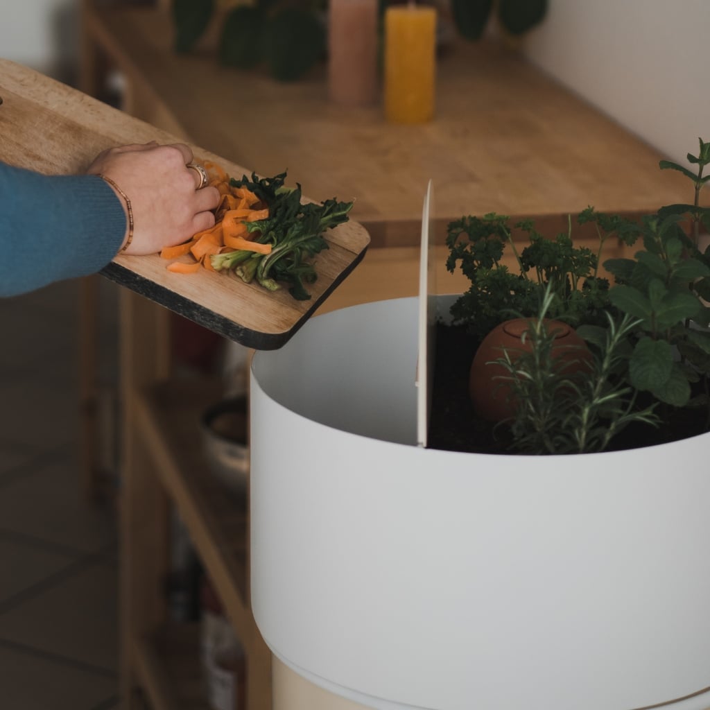 Composter sans odeurs grâce à la méthode du lombricompostage