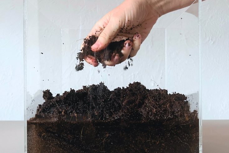 Terreau compressé hydrater