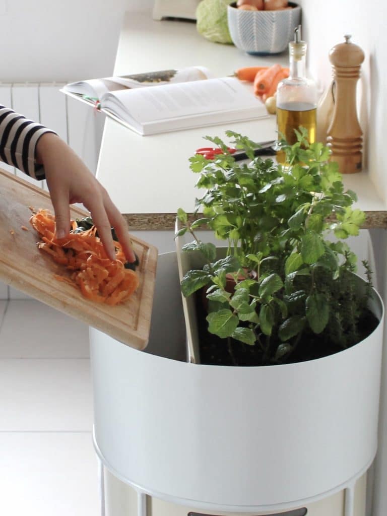 Montpellier : Ce pot de fleur composteur permet de nourrir une plante avec  des déchets